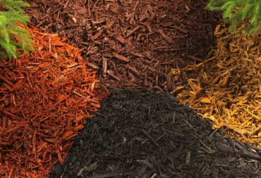 Existen dos categorías de mulching o acolchado agrícola: sintético y orgánico, y dentro de este hay varios tipos según el material orgánico que utiliza. Foto: cdn.portalfruticola.com mulching o acolchado organico