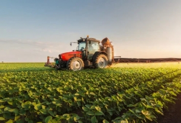 Los tipos de agricultura de agricultura son muy variados, algunos varían por la dependencia del agua, magnitud de producción y relación con el mercado, objetivos de rendimiento y utilización de medios de producción. Foto: encolombia.com Tipos de agricultura