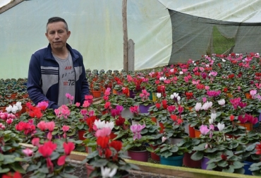 Debido a los altos precios de los insumos, como fertilizantes y plaguicidas, Delgado recurre ahora a nuevas formulaciones, esta vez tomadas de la agricultura biológica. Foto: Cortesia Julio César Delgado, cultivador de flores ornamentales