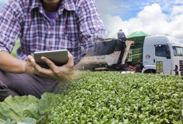 La transformación digital y mejoras en producción, nutrición, medio ambiente y calidad de vida son las tendencias que resalta Yara. Foto: Cortesia Tendencias sector agrícola Colombia