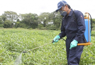 Los agroquímicos cumplen una función vital en la producción alimentaria, por eso hay que aprender a usarlos. Foto: bioagro.com Agroquímicos en la producción alimentaria