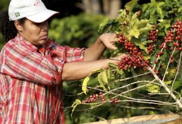 Ofrecer un producto con valor agregado es uno de los consejos que la brasileña les da a las mujeres. Foto: efeagro.com Cinco consejos para que las mujeres emprendan en el agro