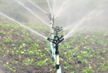 El sistema de riego en un cultivo es fundamental para la producción. Foto: Twenergy Riego agrícola
