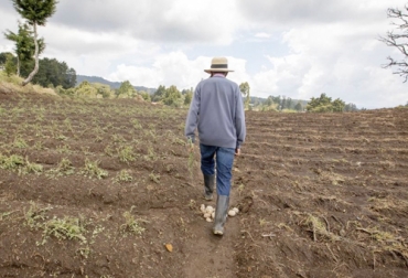 El aumento en los eventos climáticos de lluvias y temperaturas extremas en Colombia y la región se incrementarán para el 2050. Foto: El Colombiano agricultor