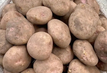 El precio del kilo de la papa pastusa subiría $1.000 en los próximos días. Foto: Mercados Campesinos papa