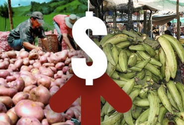 El contrabando sería la causa por la cual se han subido de precio los alimentos. Foto: La Opinión - El Colombiano papa,platano