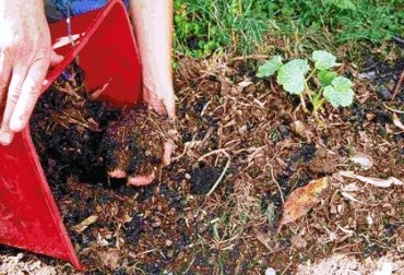Los abonos orgánicos pueden ser preparados con residuos de cosechas pasados y con algunos materiales orgánicos. Foto: CONtexto Ganadero. Aumente la calidad de su cultivo con abono orgánico.