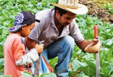 Mejorar las condiciones de vida de los campesinos será una de las metas del Programa. Foto: Ecoportal. Programa de Agricultura Familiar