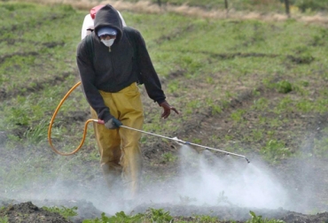 Indalecio Dangond sugiere un decreto que controle los precios de los productos. Foto: CONtexto ganadero. Agroquímocos Colombia