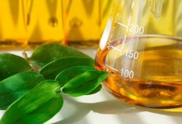 De acuerdo con Cenipalma y Fedebiocombustibles, están dadas todas las condiciones para que se aumente la mezcla. Foto: Cortesía. Biocombustibles Colombia