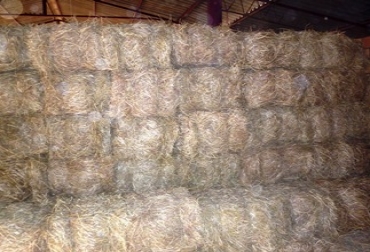 En Socorro, municipio de Santander, se encuentra una de las 43 bodegas de suplemento alimenticio. Foto: Javier Aguilar. Bodegas de Suplemento Alimenticio.jpg