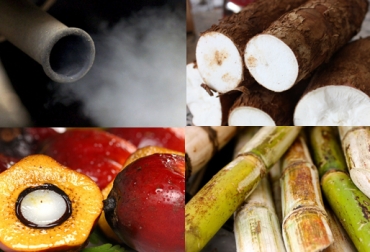 La mezcla de biodiesel en Colombia sigue en 9,2%, y debería estar en 14%. Foto: CONtexto ganadero.