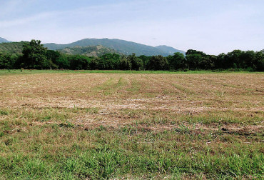 Predio utilizado en la Estación Agraria Cotové, ubicada en inmediaciones del municipio de Santa Fe de Antiooquia. Foto: Unal. agricultura parcelas colombia