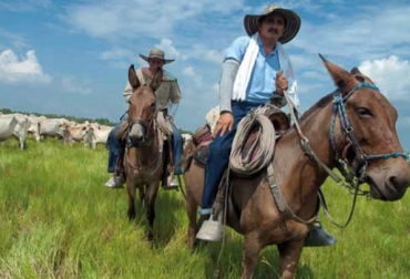 De acuerdo con el director del Dane, el censo se hará en medio de las elecciones. Foto: Fedegán. Censo agropecuario Colombia