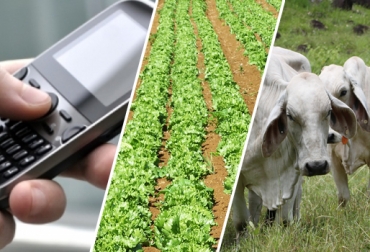 El estudio evalúa las posibles ventajas de los nuevos servicios móviles de datos para las pequeñas explotaciones agropecuarias que funcionan en circunstancias adversas. Foto: CONtexto Ganadero. Herramientas móviles para el sector rural