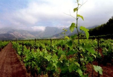 Cientificos en Palmira aseguran que los productores agrícolas del país deben tener en sus predios una política de cultura sostenible. Foto: Gobernación de Boyacá. Estrategias para enfrentar el impacto climatológico en la agricultura.