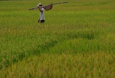 Un arrocero en Vietnam, en septiembre de 2012 © AFP/Archives Hoang Dinh Nam Cambio climático(AFP) - Las altas temperaturas ligadas al calentamiento climático influyen ya en la economía de algunas regiones del mundo, al reducir la productividad de los trabajos al aire libre, según un estudio publicado el domingo.