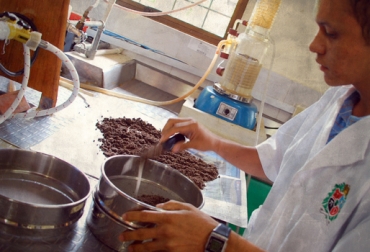 Durante 2014 se tramitaron 20 mil muestras de suelo en todo el país. Foto: Unal. Laboratorios para el estudio de suelos en Colombia