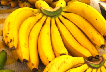 Para Unibán la revaluación del dólar es preocupante porque los obliga a exportar por encima de los $1.900. Foto: CONtexto ganadero. Exportación de banano