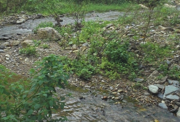Con el proyecto se busca generar respuestas viables y positivas para los ganaderos de estas regiones. Foto: CONtexto ganadero. cosechar agua