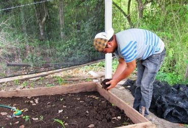 Las carreras relacionadas con el sector agropecuario tienen 59.958 estudiantes matriculados en el país. Foto: Fundación Semana. Carreras agropecuarias no son apetecidas en estudiantes del país.