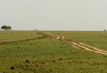 El caso de la Hacienda las Pavas llegará al Consejo de Estado El caso de la Hacienda las Pavas llegará al Consejo de Estado