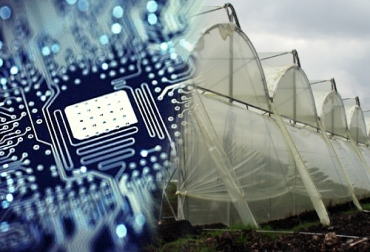 Con nanopartículas se logrará que las plantas sean más fuertes y resistentes. Foto: CONtexto Ganadero Invernaderos con nanotecnología