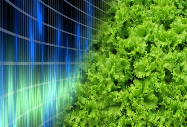 El dispositivo aumenta la capacidad de solubilidad del agua y a la vez que potencia la actividad metabólica y fisiológica de las plantas. Foto: CONtexto Ganadero. Dispositivo electromagnético para el agro
