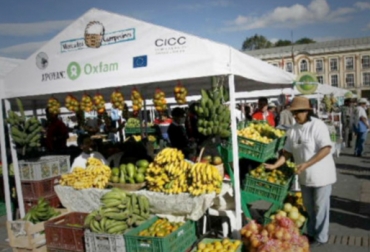 Productores campesinos, indígenas, gitanos y afrodescendientes estarán presentes en la plaza de Bolívar de Bogotá. Foto: Alcaldía. Mercados Campesinos y Populares