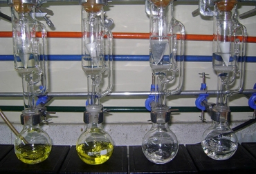 Las microalgas pueden ser usadas para disminuir los impactos negativos al medioambiente. Foto: Agencia de Noticias UN. Uso de microalgasn para producir biodiésel