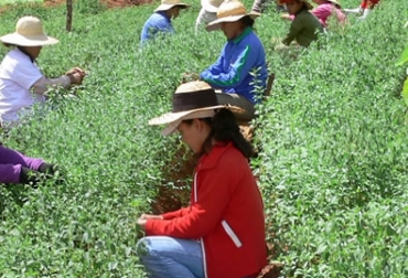 Las mujeres tendrán asesoría y conocimiento de la Ley para que reciban la reparación. Foto: Ministerio de Agricultura. Mujeres y niñas víctimas.jpg