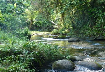 Colombia comparte con Brasil el primer lugar mundial en término de biodiversidad. Foto: www.bibliotecanacional.gov.co. biodiversidad de colombia