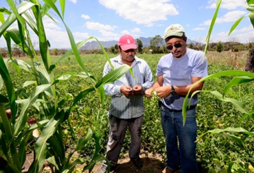 El objetivo de este Centro de Desarrollo es convertirse en un referente internacional para la investigación y la innovación agrícola. Foto: Ciat. Parque Biopacífico Colombia