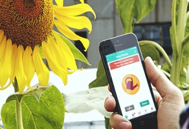 El dispositivo advierte rápidamente sobre las necesidades que tiene cada planta (luz, agua, fertilizante, etc) y tiene toda una biblioteca con información relativa a cada planta. Foto: Cortesía Parrot Aplicación móvil para comunicarnos con las plantas