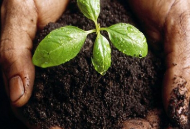 En medio de polémicas y nuevos desarollos, los biocomponentes para el campo siguen ganando terreno. Foto: Cortesía - ChilVegetal. Componentes para hacer más eficiente al suelo