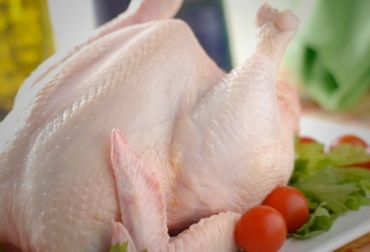 Una de las razones por las cuales no se usan hormonas en los pollos es porque la hidrenación es lenta. Foto: Archivo. Hormonas pollo