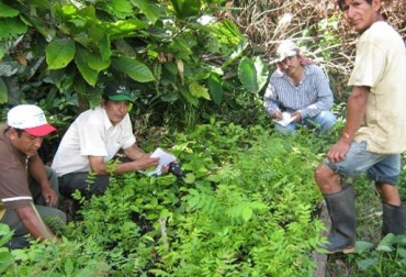 La SAC tiene 5 propuestas concretas que beneficiarán a los productores agrícolas y pecuarios del país. Foto: CONtexto ganadero. Agricultura colombiana