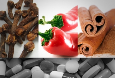 El uso de estos productos naturales es importante para producir carnes y leches con marca destinados a nichos gourmet. Foto: CONtexto ganadero. reemplazos efectivos para los antibióticos
