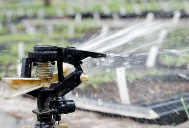 El agua que se utiliza en las industrias puede ser reciclada para el riego de cultivos. Foto: Unal. Riego.