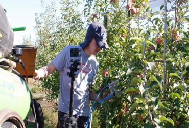 Con este sistema automatizado de cosecha, tipo robot, se han hecho las primeras pruebas. Foto: Cortesía INIA brazo robótico para cultivos de frutas