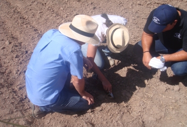 El gremio apoya al ganadero para que mejore la producción de forrajes. Foto: CONtexto ganadero Entrega de semillas a ganderos