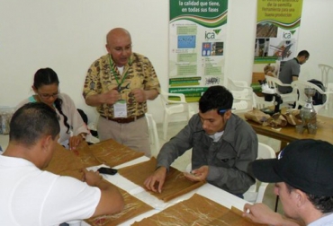 Palmira y Villavicencio serán las próximas ciudades en recibir el taller. Foto: ICA. cómo analizar las semillas