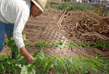 Este proyecto, que se desarrolla a través de un programa de internet, indicará de forma gráfica si las explotaciones siguen parámetros de sostenibilidad económica, social y medioambiental. Foto: CONtexto Ganadero tecnologías para el agro