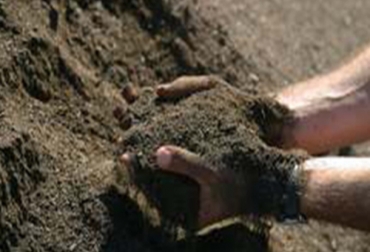 El estudio ha permitido abrir nuevas líneas de investigación con el objetivo de extender la aplicabilidad de los microorganismos en la fertilización. Foto: Cortesía - Innovagro. Reciclaje de residuos orgánicos para fertilizar