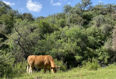 Foto: canadadelavirgen.mx