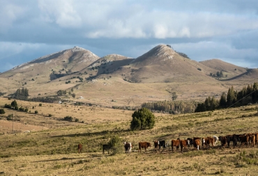 La carne vacuna forma parte de la identidad de Uruguay y explica gran parte de su economía. Foto: Alamy