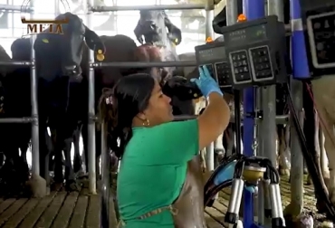 Foto: Captura video Fedegán-FNG Gira Técnica a Meta Servicios y capacitación a veterinarios
