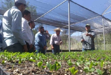 Ganaderos en una de las «escuelas de campo». Foto: mongabay.com Escuelas de Campo como parte de las estrategias de ganadería regenerativa