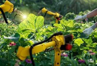 Consulte El estado mundial de la agricultura y la alimentación 2022 (SOFA). Foto: FAO Automatización de la Agricultura FAO