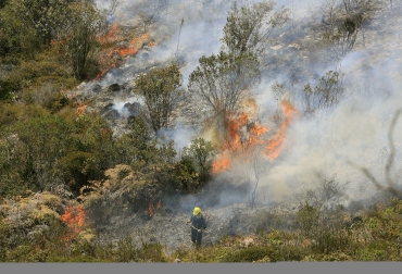 Corpocesar quiere evitar posibles incendios en el departamento. Foto: Archivo particular. Incendios forestales en Colombia.